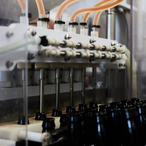 bottles of Tynt Meadow being filled on the production line bottles of Tynt Meadow being filled on the production line